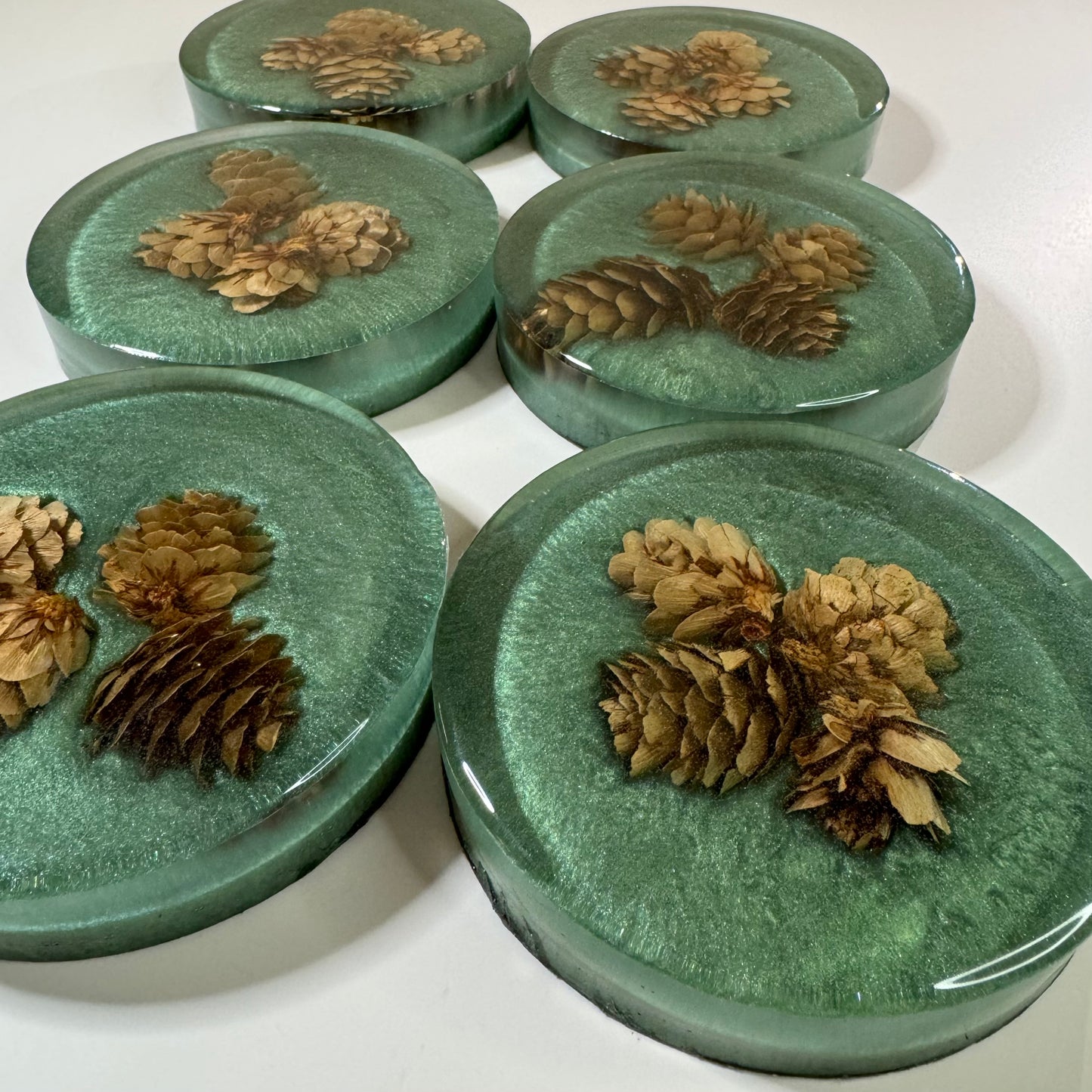 Festivus for the rest of Us Coasters