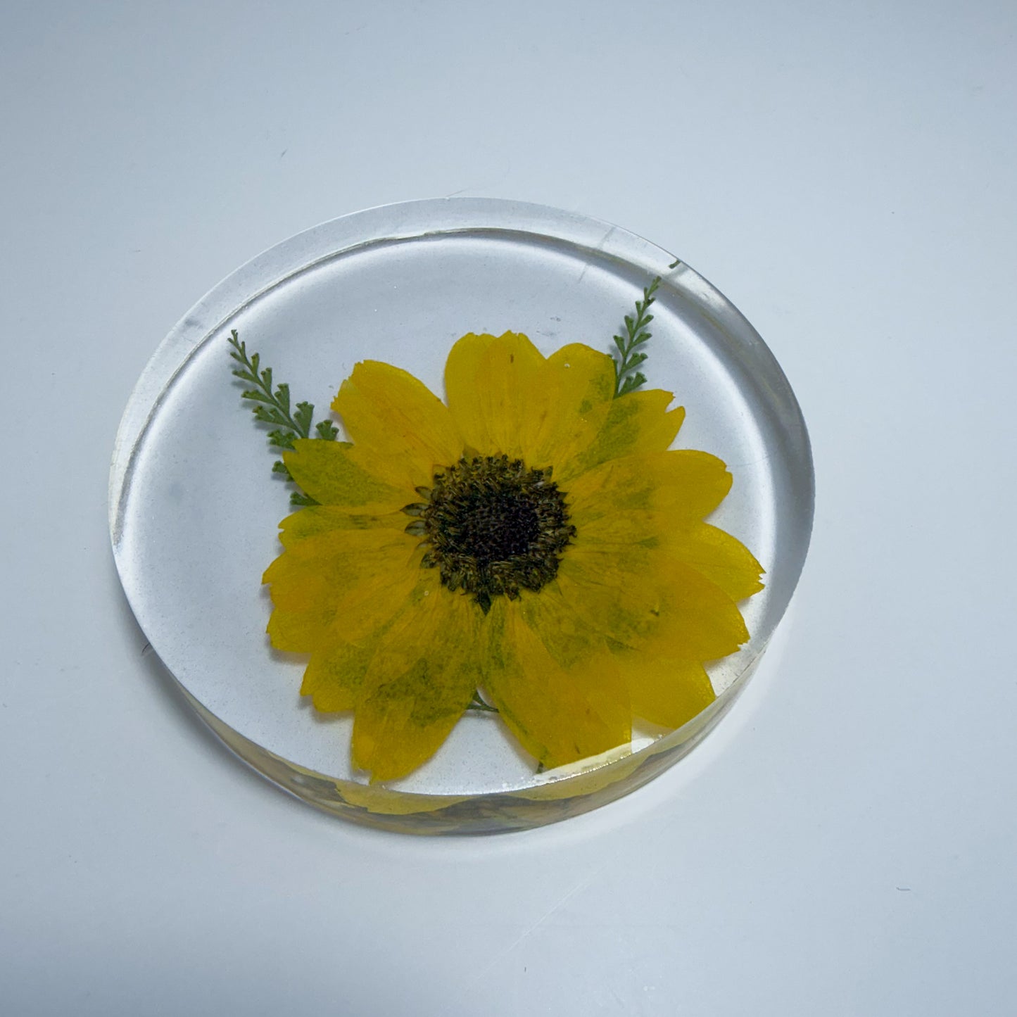 Mini Sunflower Coaster