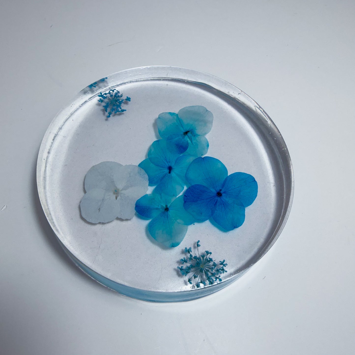 Tiny Blues Coaster