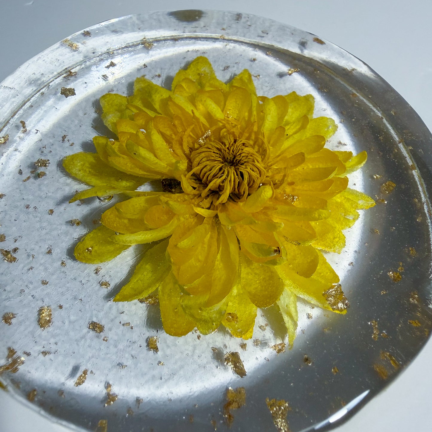 Pompon Yellow Coaster