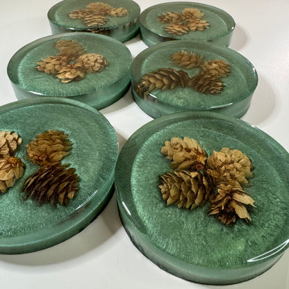 Festivus for the rest of Us Coasters