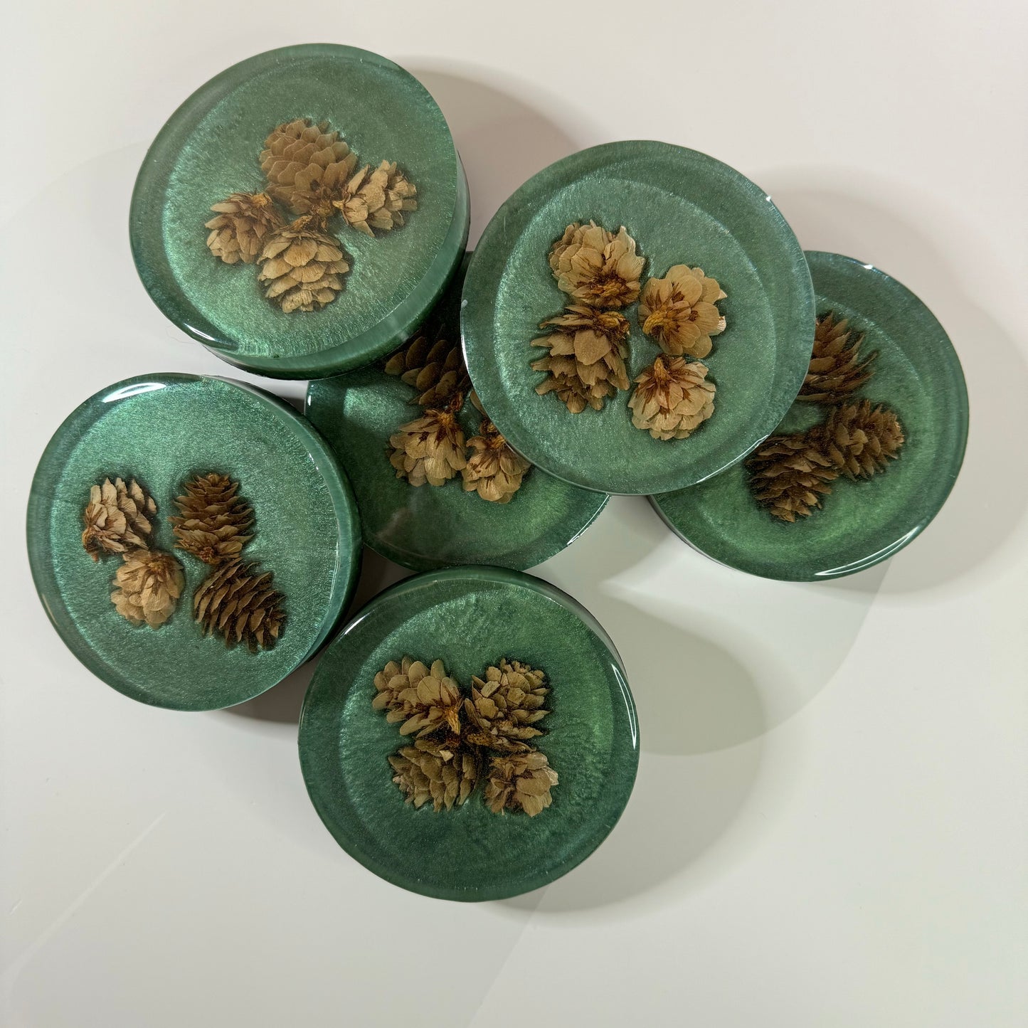 Festivus for the rest of Us Coasters