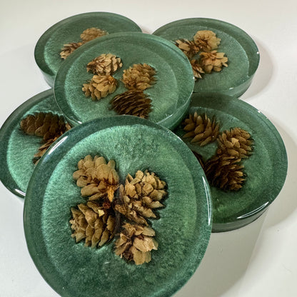 Festivus for the rest of Us Coasters