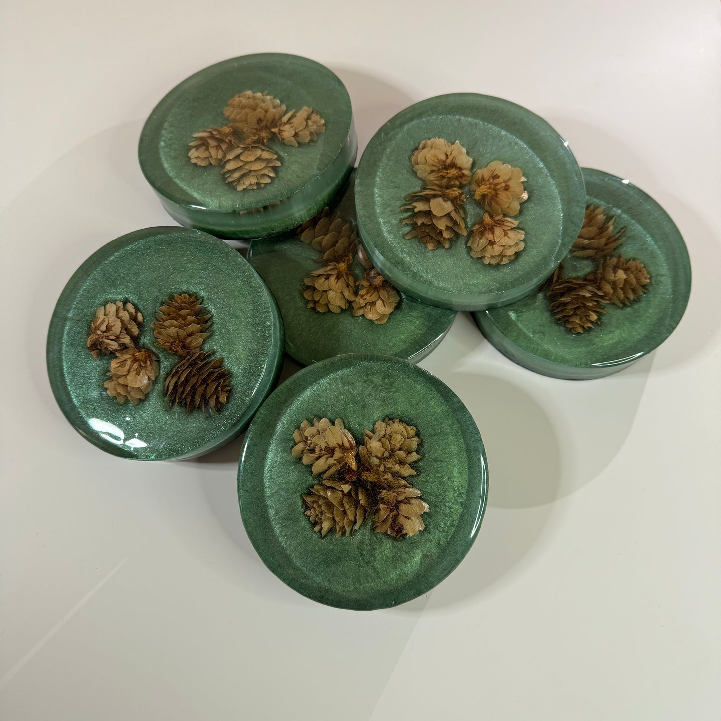 Festivus for the rest of Us Coasters