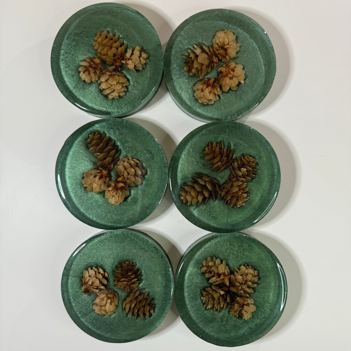 Festivus for the rest of Us Coasters