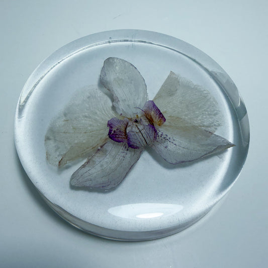 White Orchid Coaster