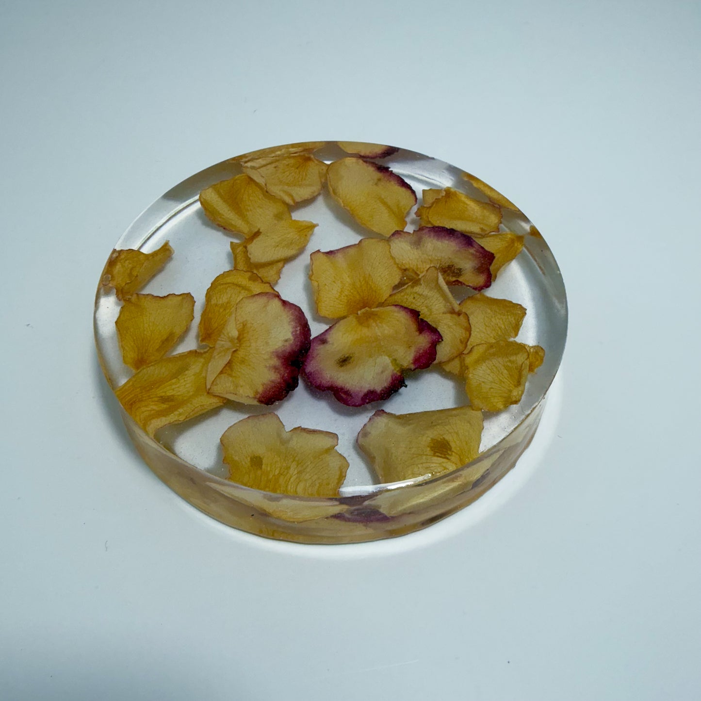 Golden Rose Coaster