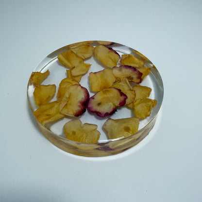 Golden Rose Coaster