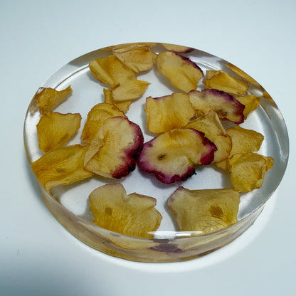 Golden Rose Coaster