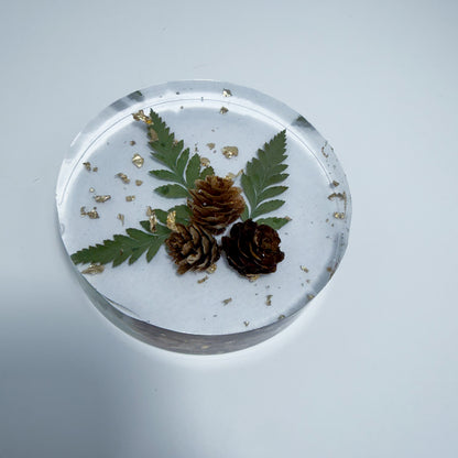 Gold Pine Coaster
