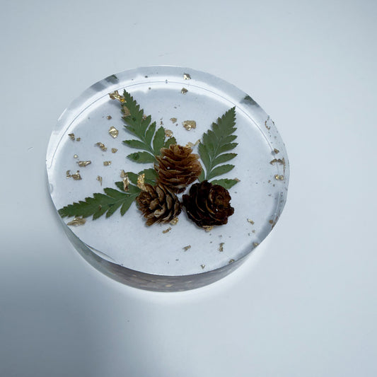 Gold Pine Coaster