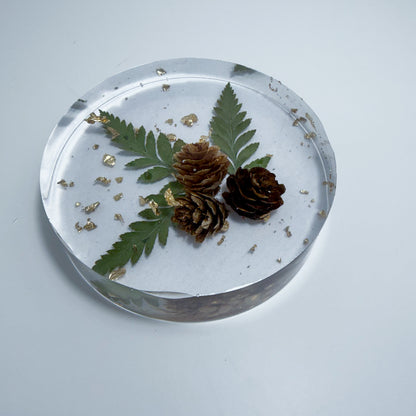 Gold Pine Coaster