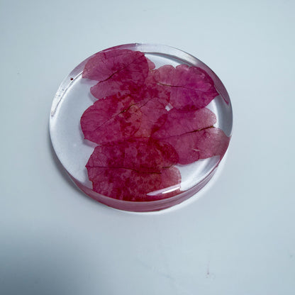 Pink Leaves Coaster