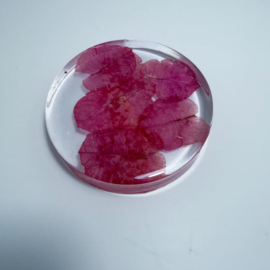 Pink Leaves Coaster