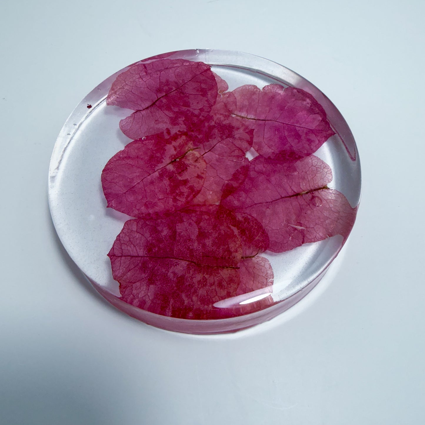 Pink Leaves Coaster