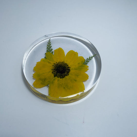 Mini Sunflower Coaster