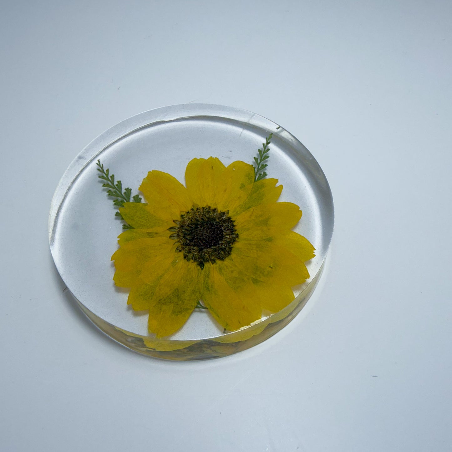 Mini Sunflower Coaster
