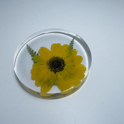 Mini Sunflower Coaster