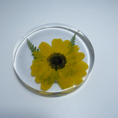 Mini Sunflower Coaster