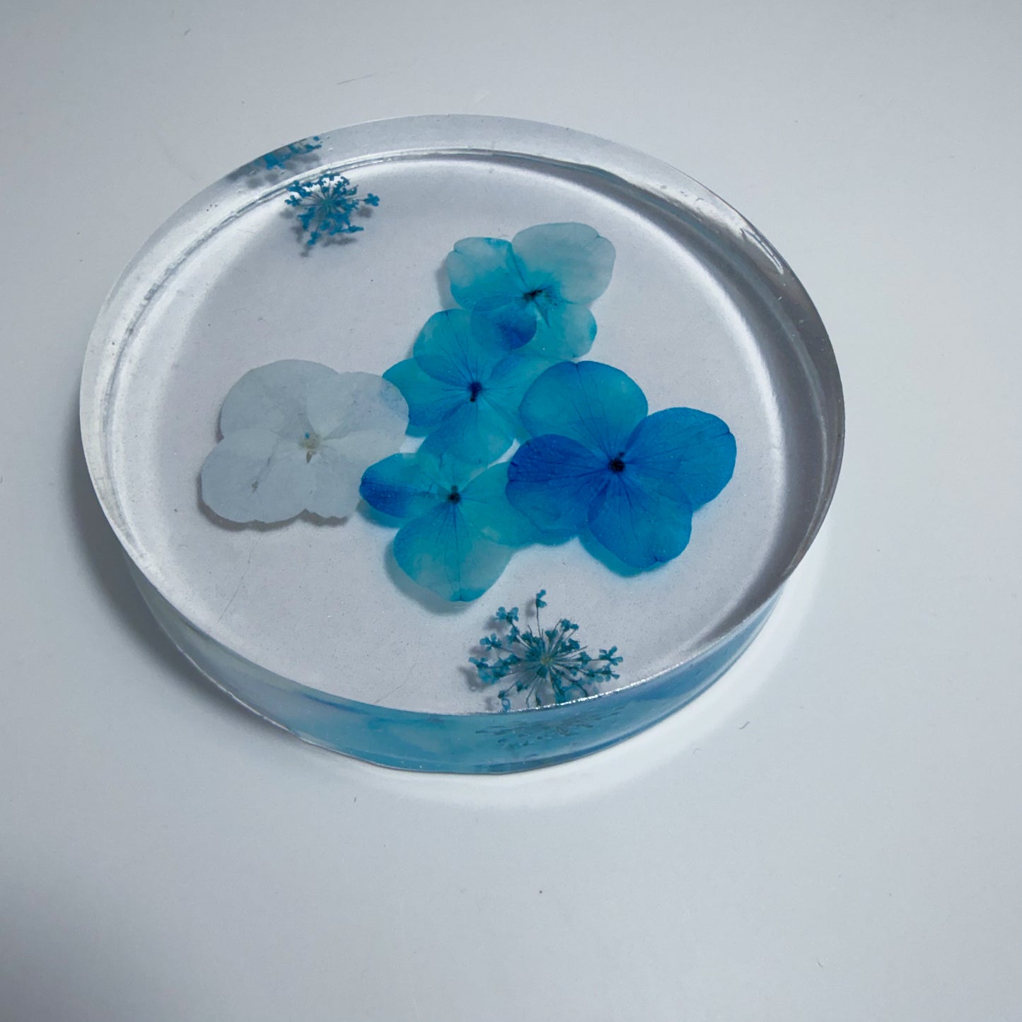 Tiny Blues Coaster