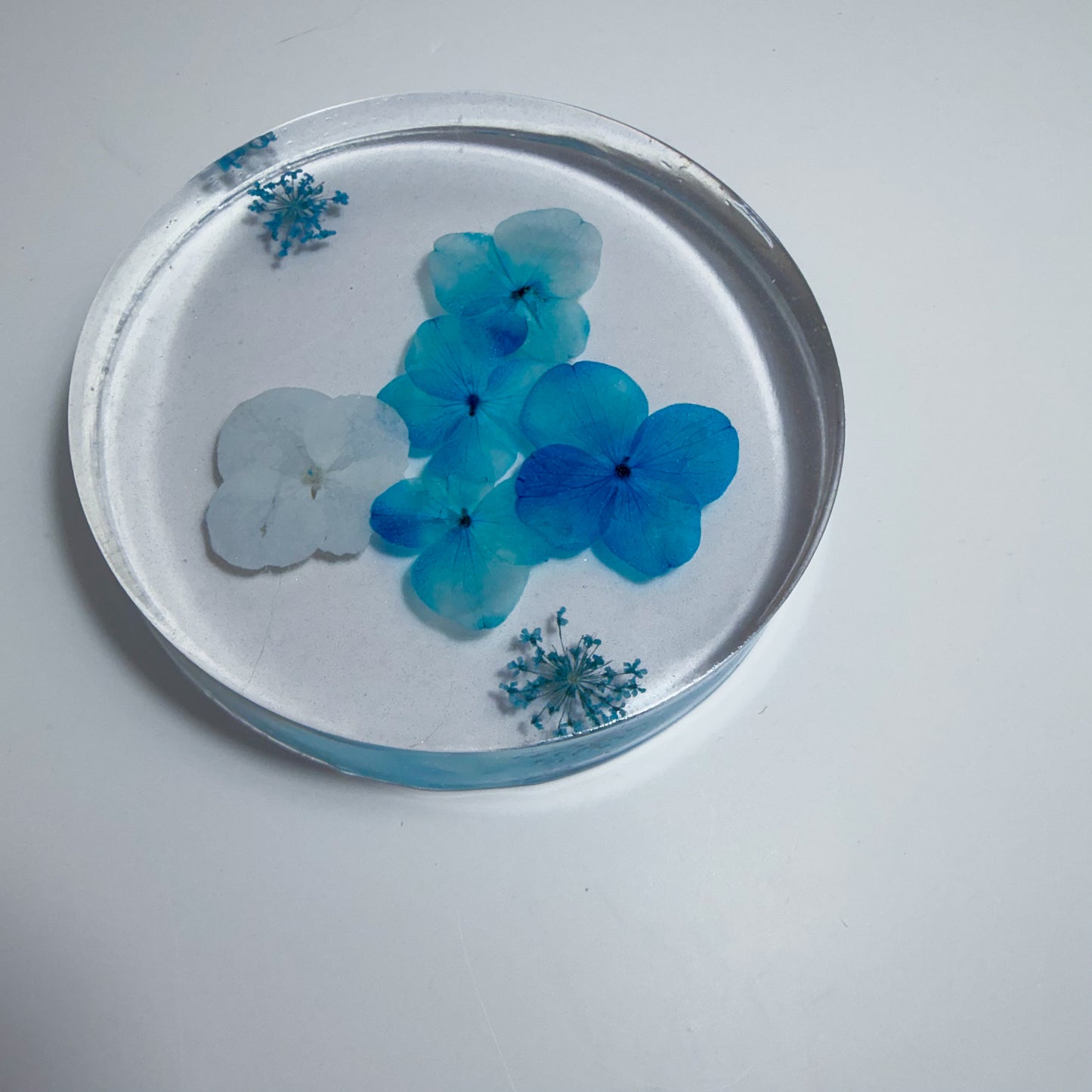 Tiny Blues Coaster