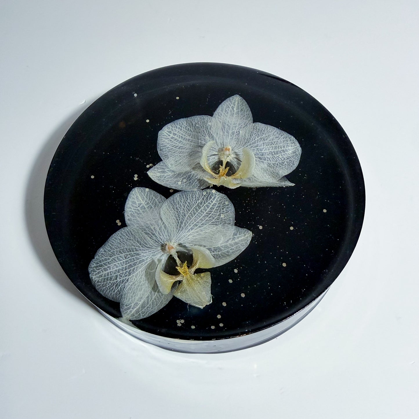 White Baby Orchids Coaster