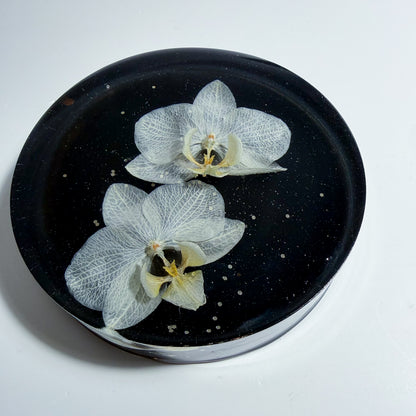 White Baby Orchids Coaster