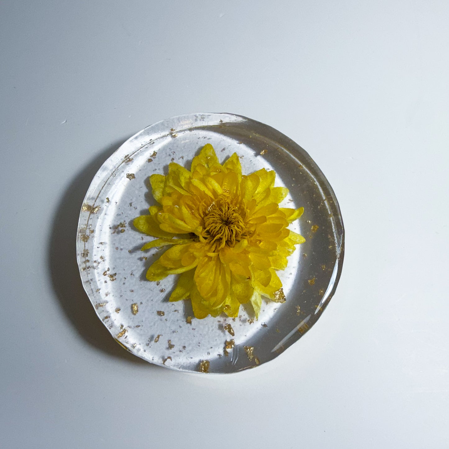 Pompon Yellow Coaster