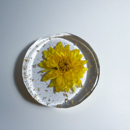 Pompon Yellow Coaster