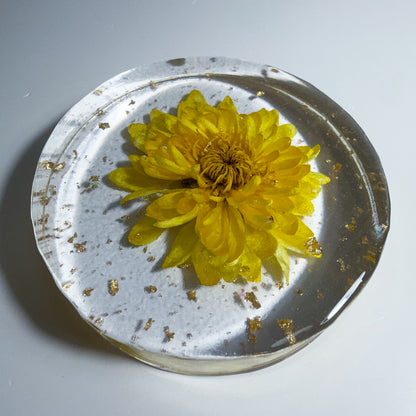 Pompon Yellow Coaster