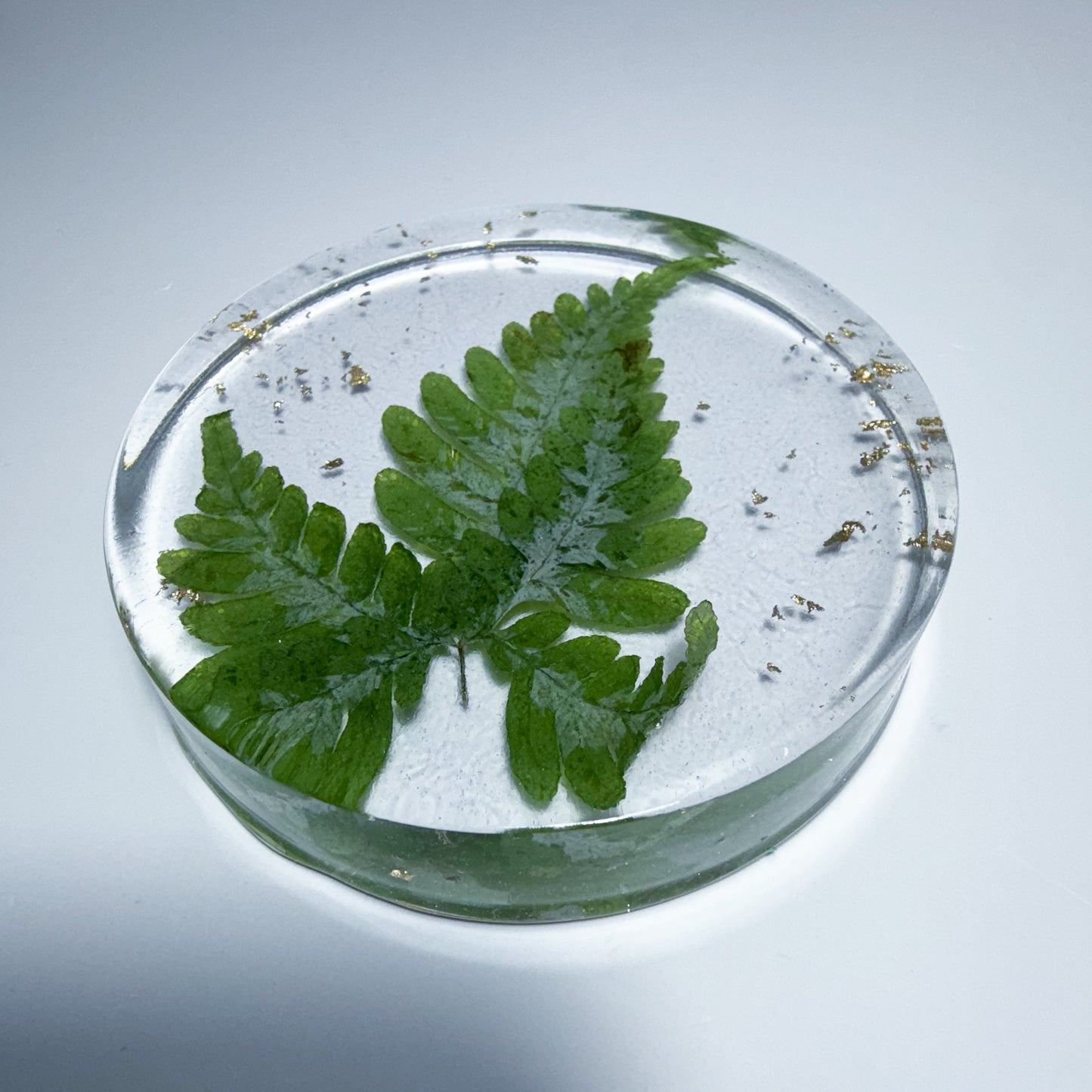 Leaf Coaster
