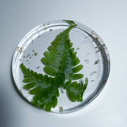 Leaf Coaster